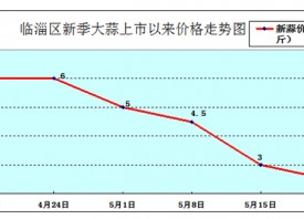 淄博：大蒜價格持續(xù)大幅回落 ()