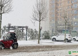 河南3月飄雪 蒜苗還好嗎？ ()