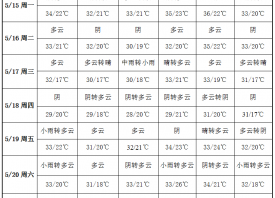 高溫天氣來襲 新季大蒜開挖 ()